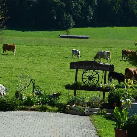 Giglmayrhof Sankt Georgen bei Salzburg